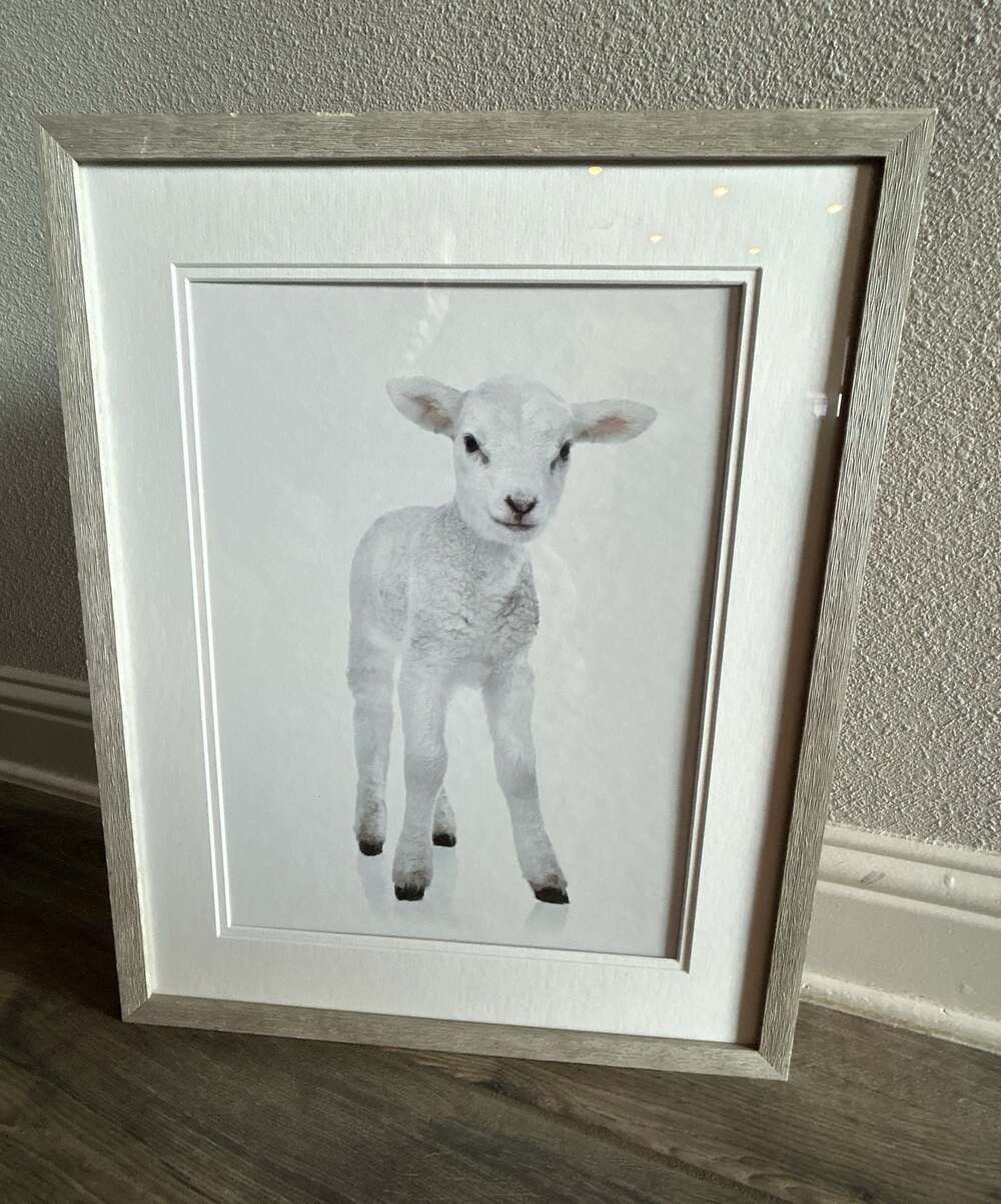 Framed Baby Lamb Wall Art Print with white double mat and Grey Wood Grain Frame